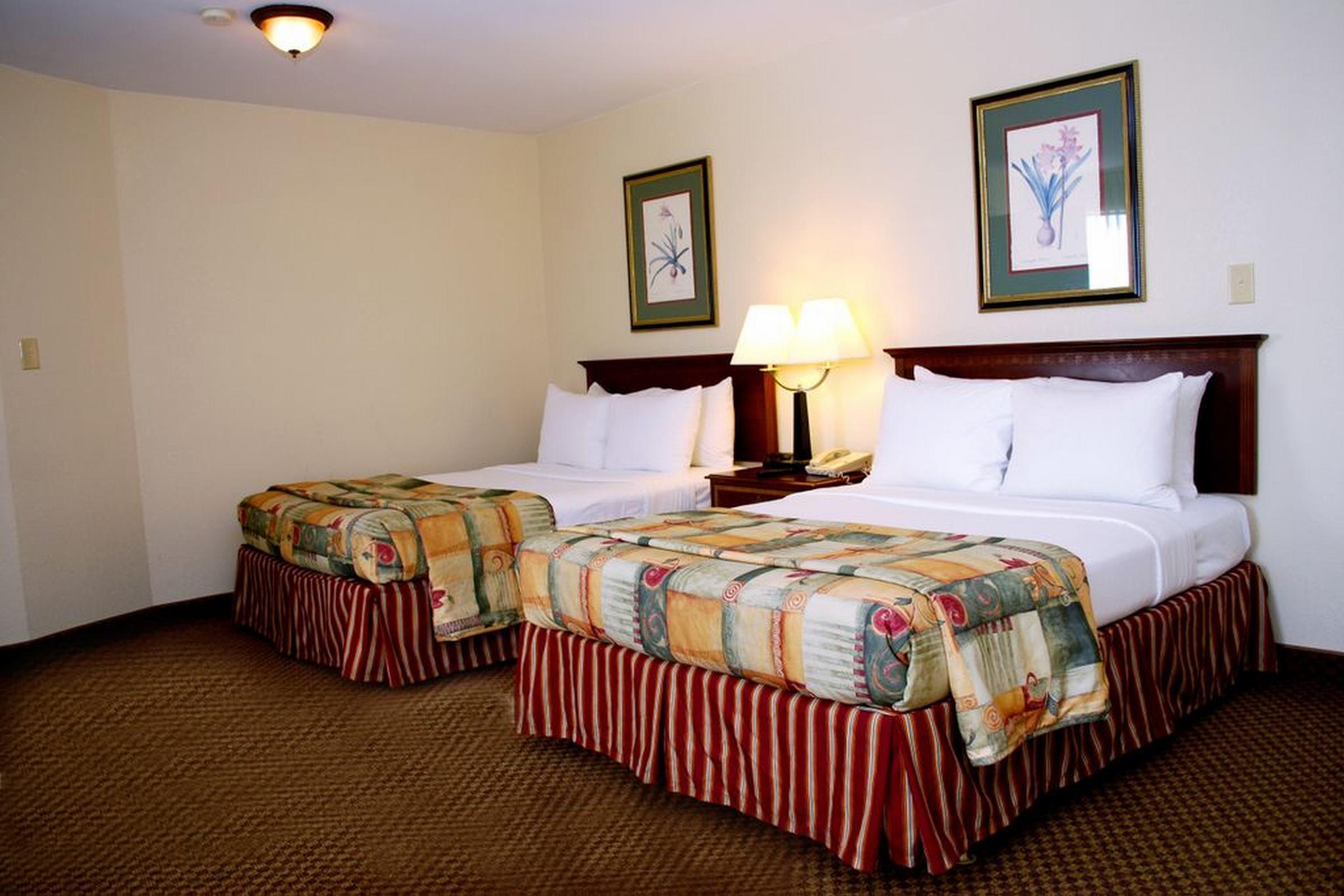 Clarion Inn & Suites Atlanta Downtown Kültér fotó