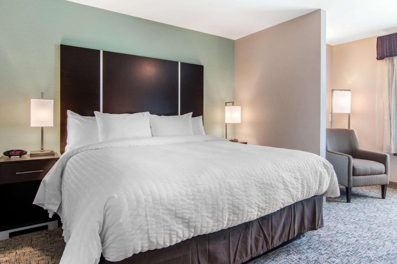 Clarion Inn & Suites Atlanta Downtown Kültér fotó